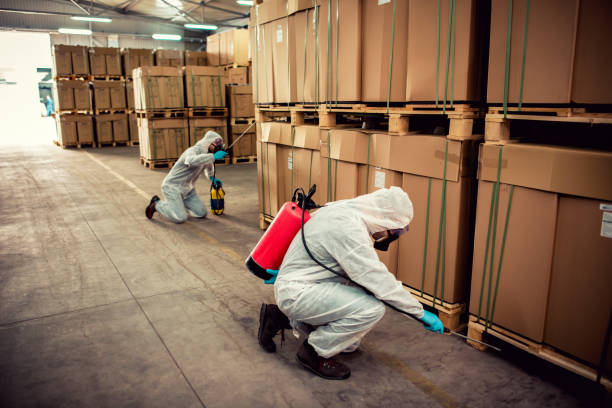 Best Bed Bug Extermination  in Vandercook Lake, MI