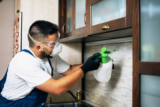 Best Local Pest Control Services  in Vandercook Lake, MI