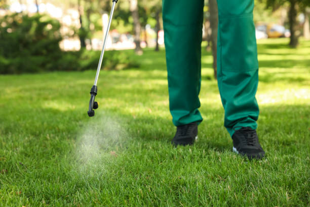 Best Pest Control Near Me  in Vandercook Lake, MI