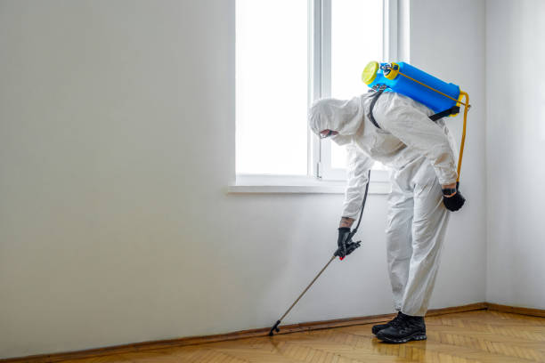 Best Affordable Pest Control Services  in Vandercook Lake, MI