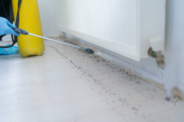 Best Pest Prevention Services  in Vandercook Lake, MI