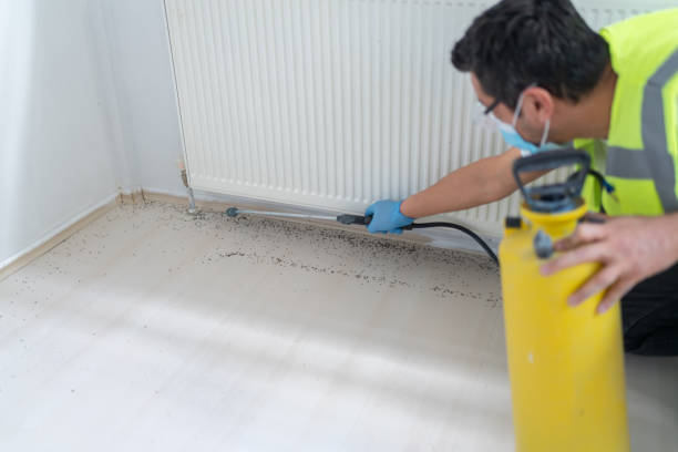 Best Affordable Pest Control Services  in Vandercook Lake, MI