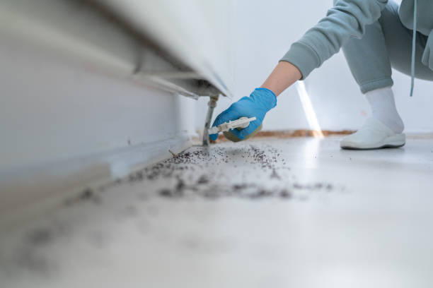 Professional Pest Control in Vandercook Lake, MI