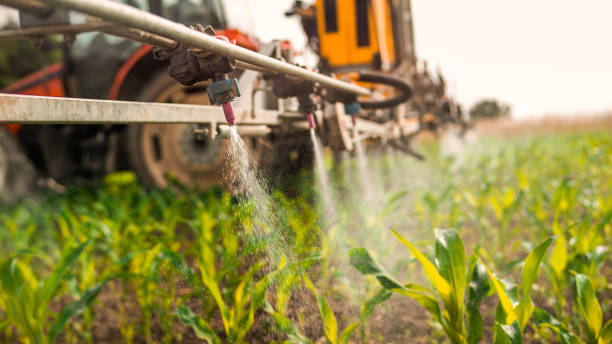 Best Wildlife Control Services  in Vandercook Lake, MI