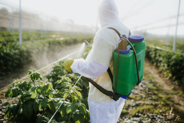 Best Flea Control Services  in Vandercook Lake, MI